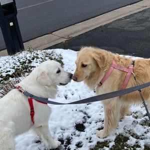 Meet your Posher, Marlene